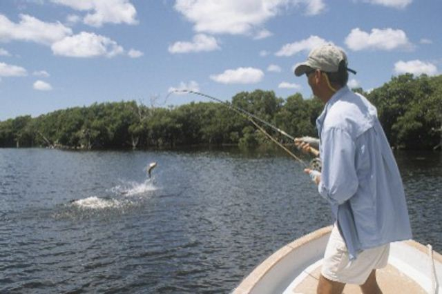 Baby tarpon being played in Rio Lagartos Yucatan Rio Lagartos Adventures