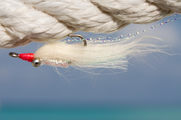 fly used for tarpon in Rio Lagartos By Rio Lagartos Adventures