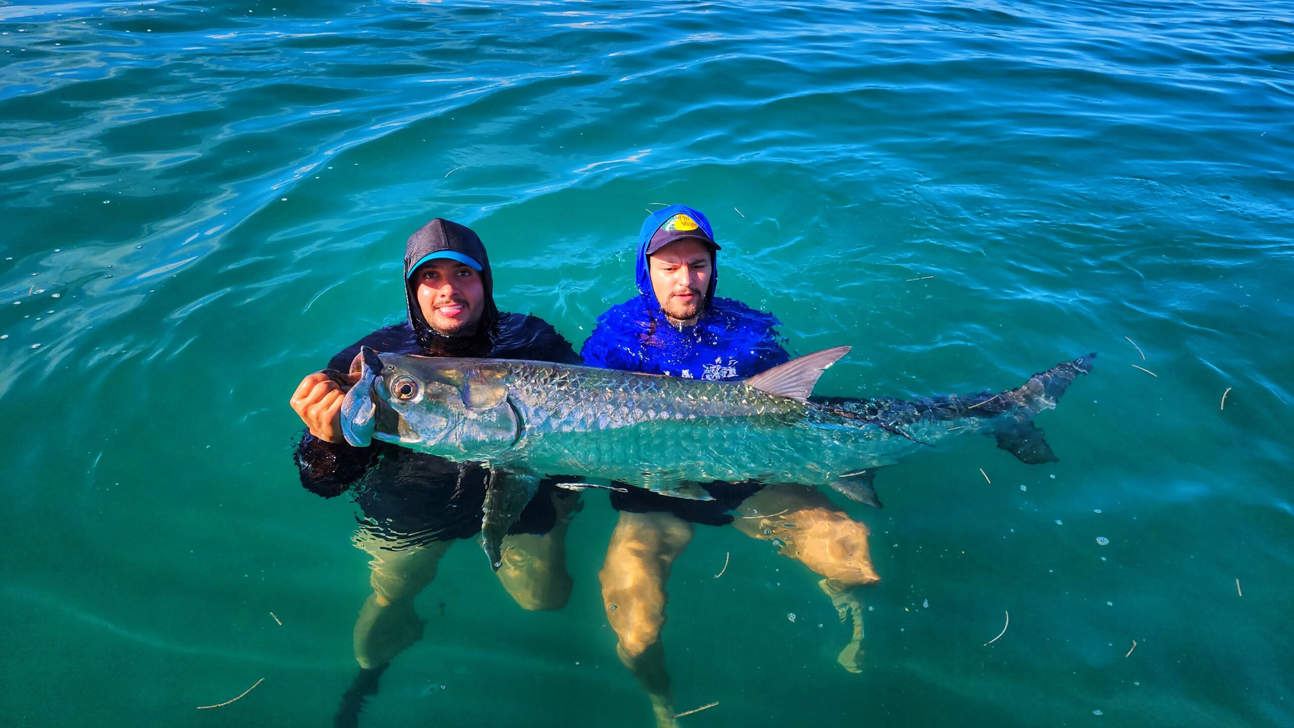 Mexican Tarpon Seaducer