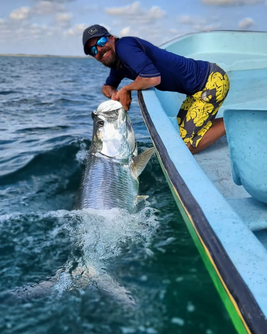 Mexican Tarpon Seaducer